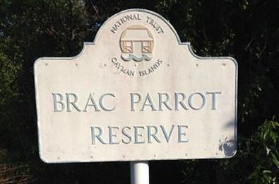 Cayman Brac Parrot Reserve
