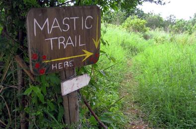 Mastic Trail