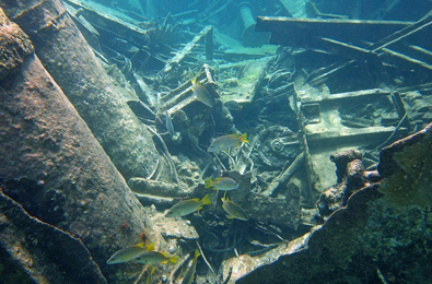 Wreck of the Cali