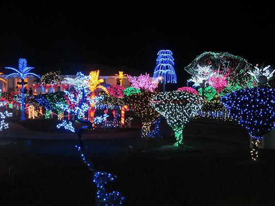 Christmas lights in Cayman