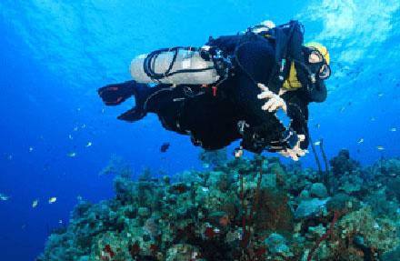 Cayman Scuba Diving