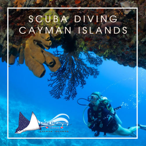 Grand Cayman Scuba Diving