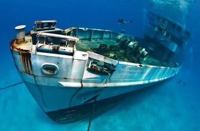 Kittiwake Shipwreck & Artificial Reef