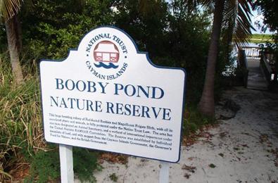 Little Cayman Booby Pond Nature Reserve