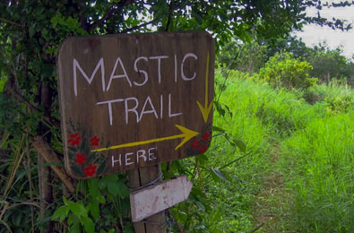 Mastic Trail