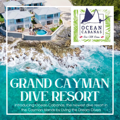 Ocean Cabanas Dive Resort Grand Cayman