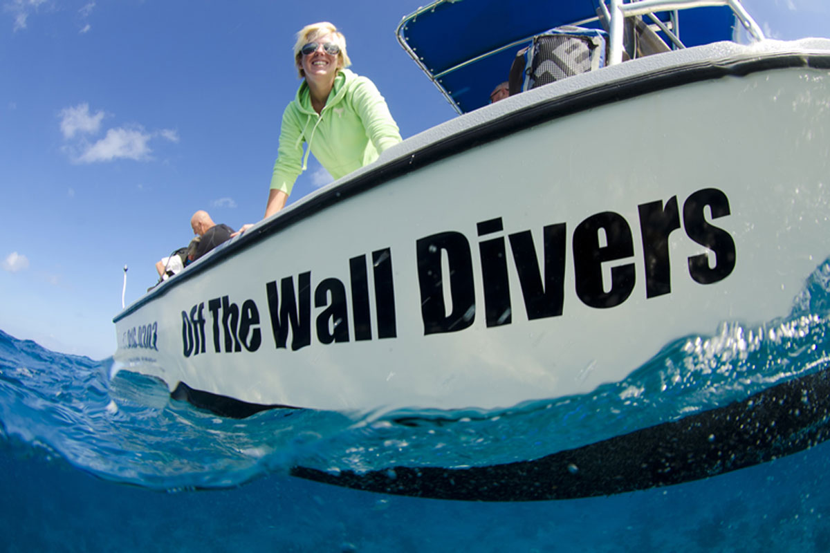Off the Wall Divers