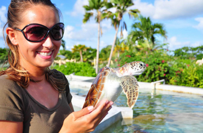 Stop by the Cayman Turtle Farm