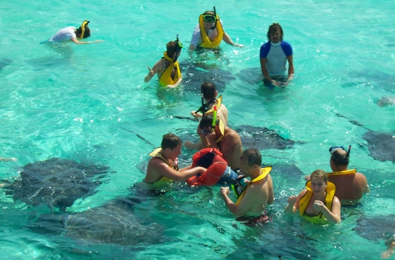 Visit Stingray City